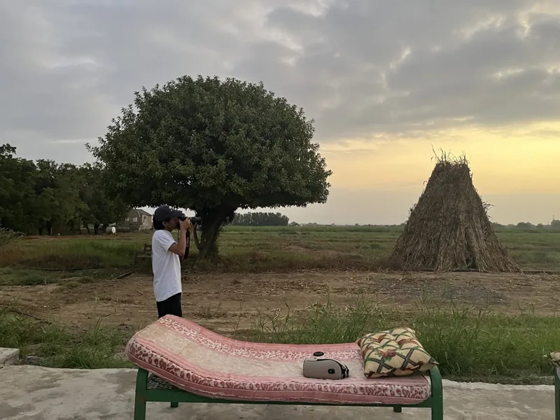 من مواقع التصوير في ضمد.