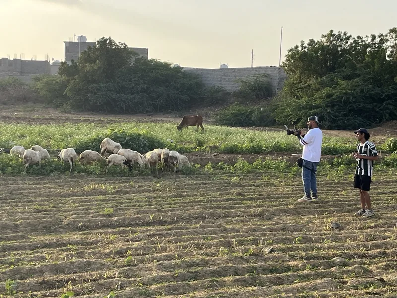 من موقع تصوير «أشعل فانوس قلبي».